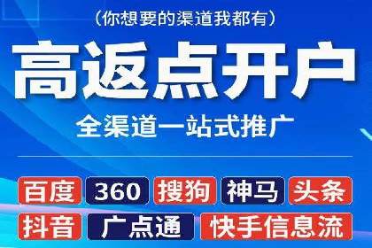 SEM推广优化策略：成功案例解析